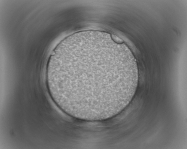 X0000113111479200910091149