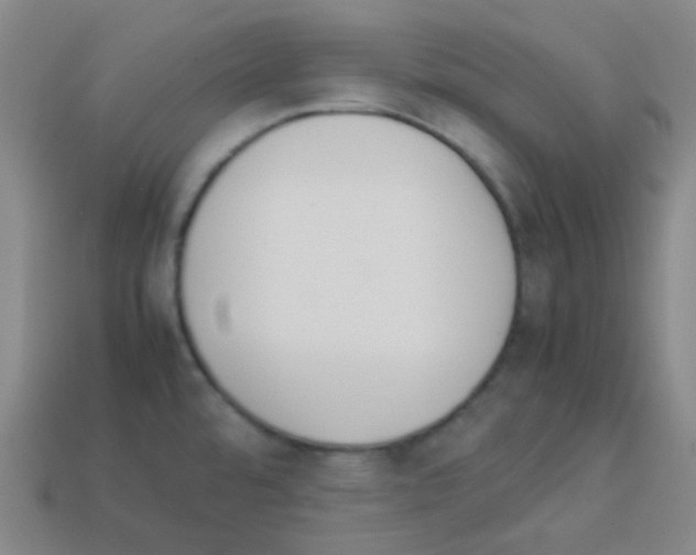 X0000113111480200910091149