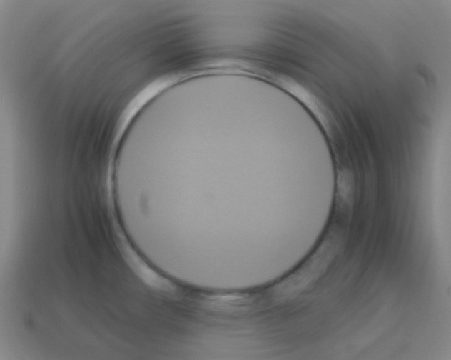X0000113111482200910091149