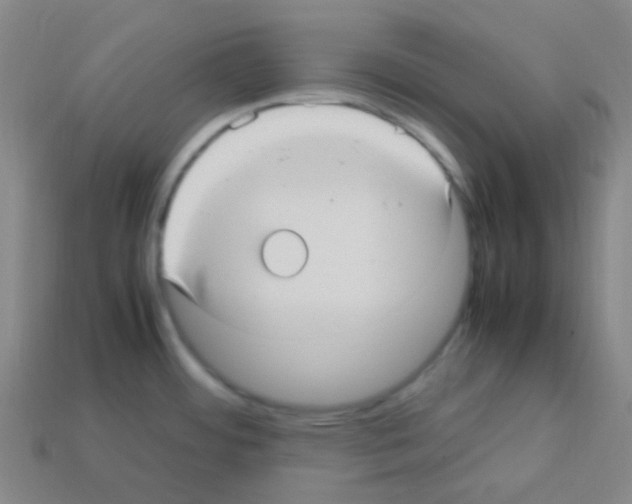 X0000113111484200910091149