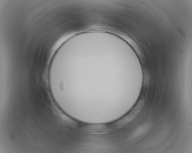 X0000113111486200910091149