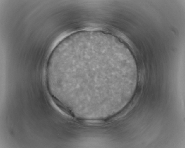 X0000113111487200910091149