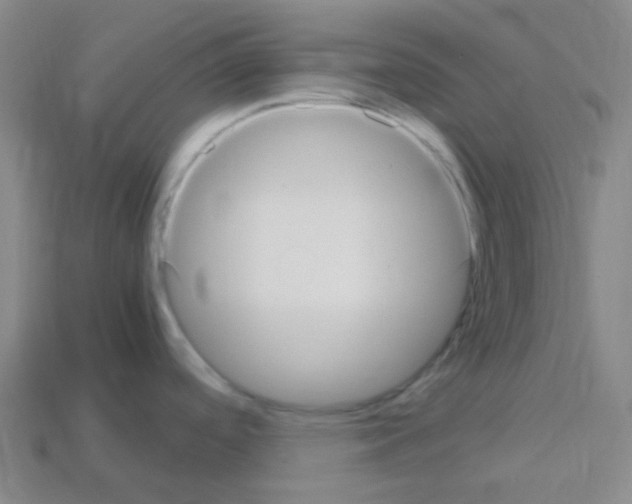 X0000113111488200910091149