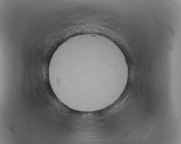 X0000113111490200910091149