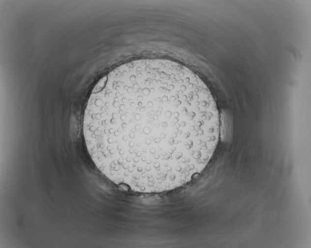 X0000113111491200910091149
