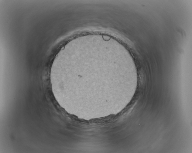 X0000113111494200910091149