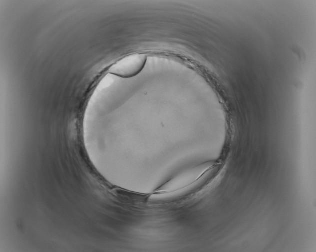 X0000113111497200910091149