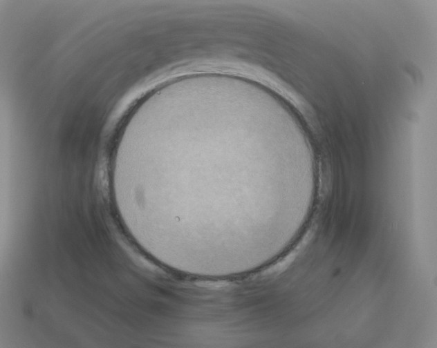 X0000113111498200910091149