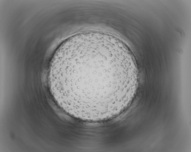 X0000113111499200910091149