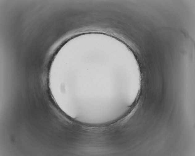 X0000113111502200910091149