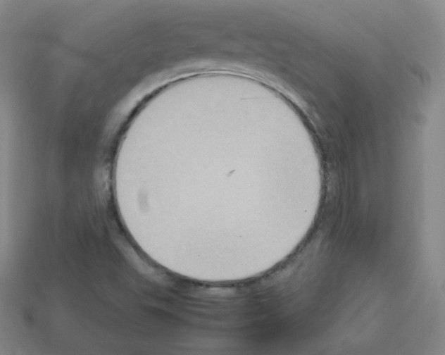 X0000113111503200910091149