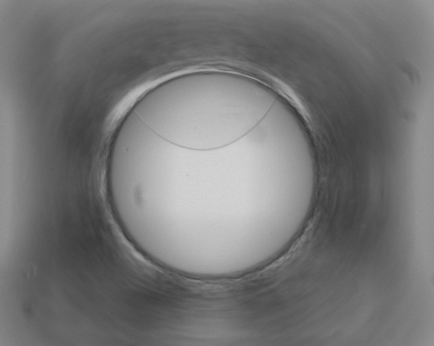 X0000113111504200910091149