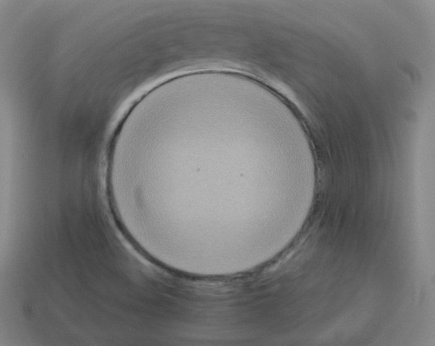 X0000113111508200910091149