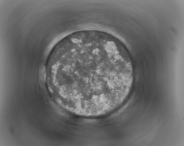 X0000113111509200910091149