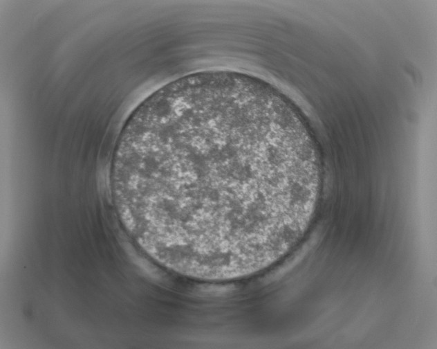 X0000113111513200910091149