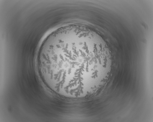 X0000113111514200910091149