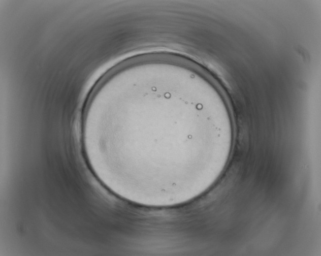 X0000113111516200910091149