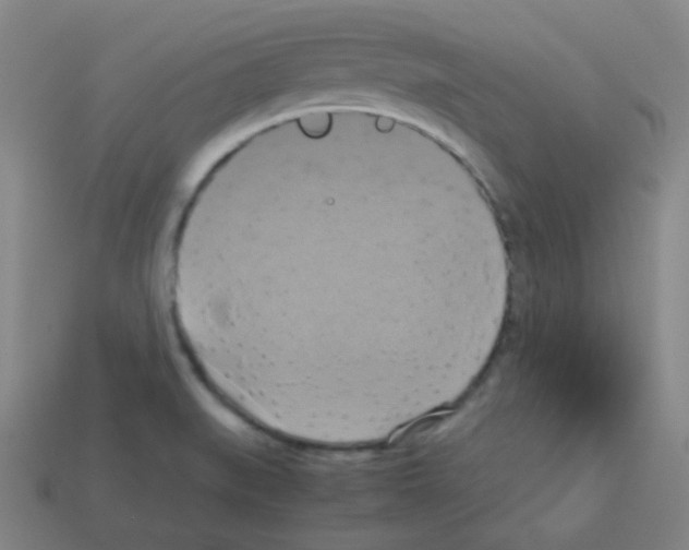 X0000113111519200910091149