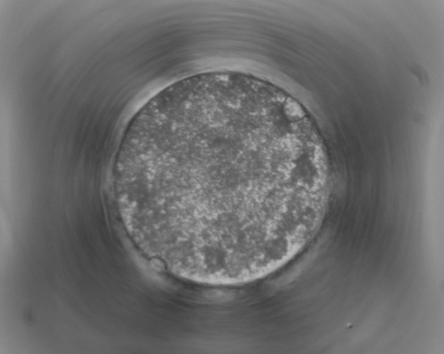 X0000113111521200910091149