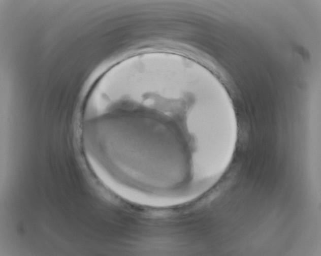X0000113111522200910091149