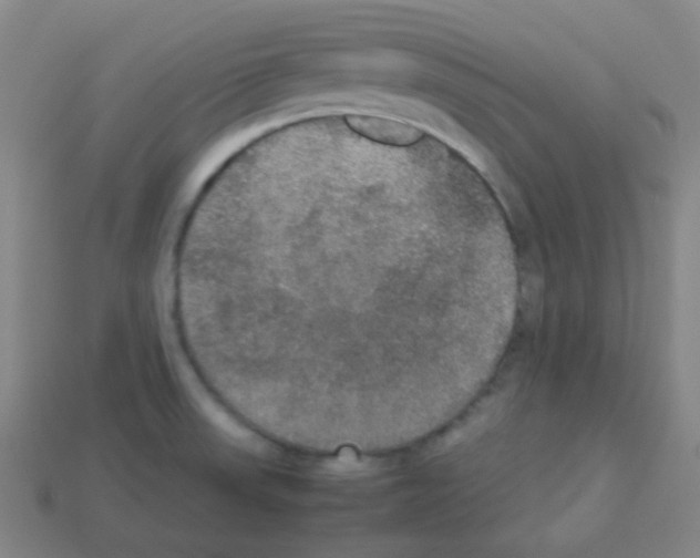 X0000113111523200910091149