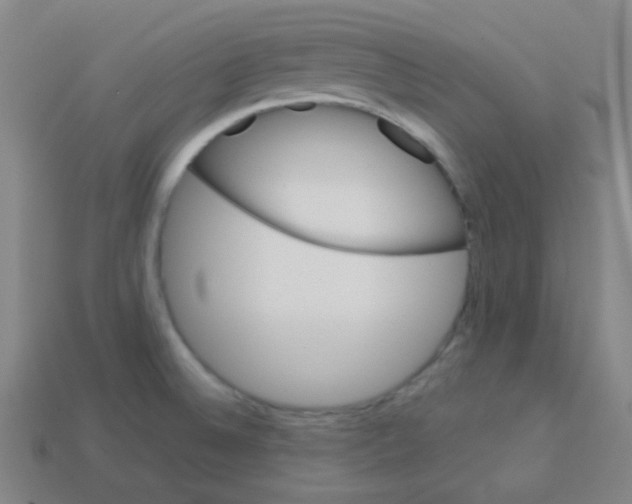 X0000113111524200910091149