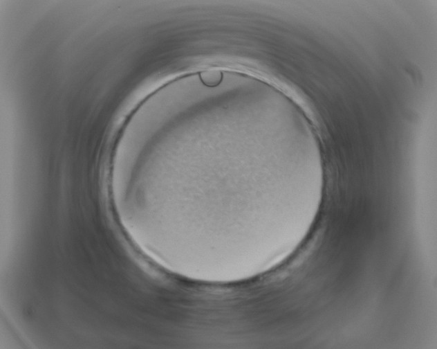 X0000113111525200910091149