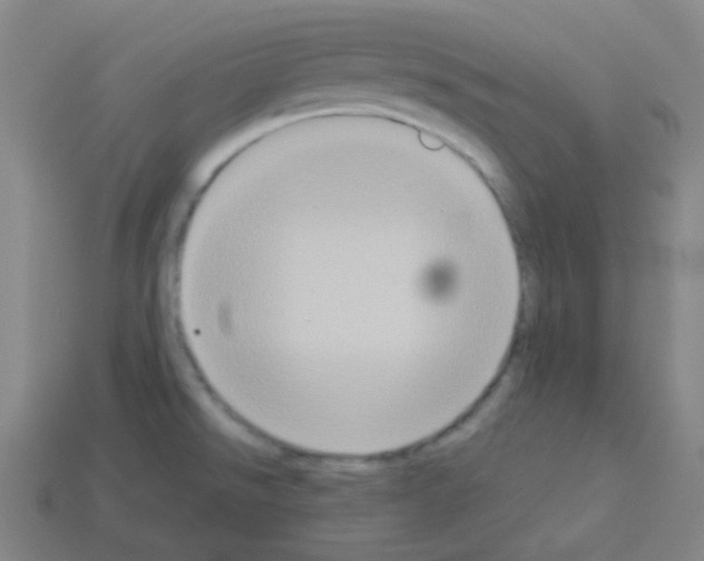 X0000113111526200910091149