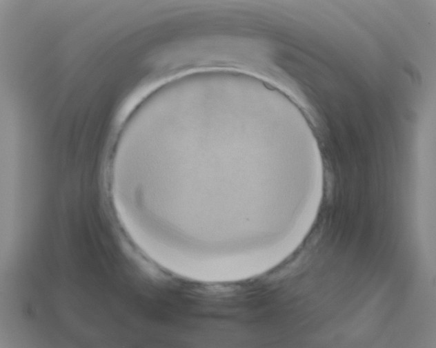X0000113111527200910091149