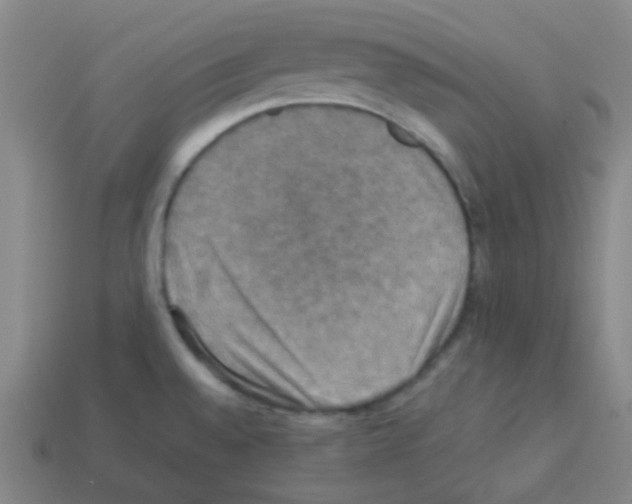 X0000113111528200910091149