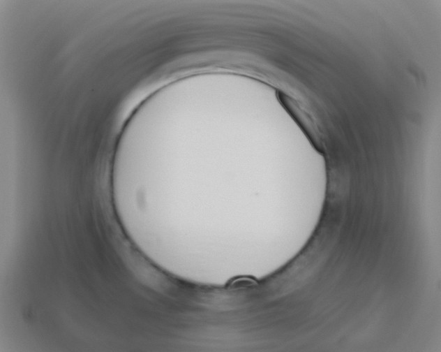 X0000113111530200910091149