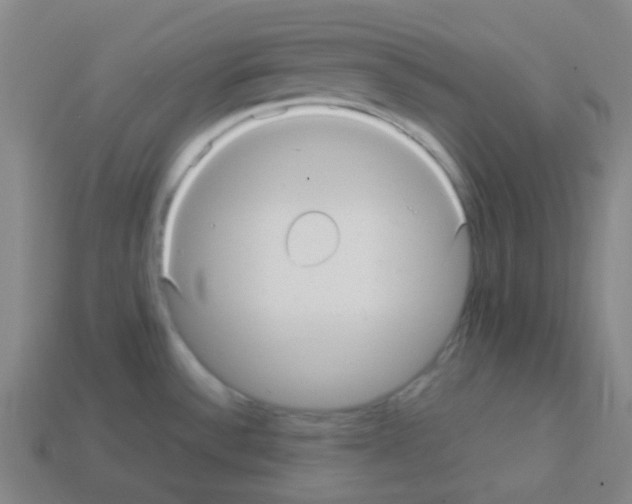 X0000113111532200910091149