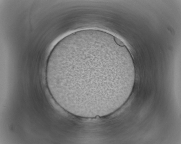 X0000113111534200910091149