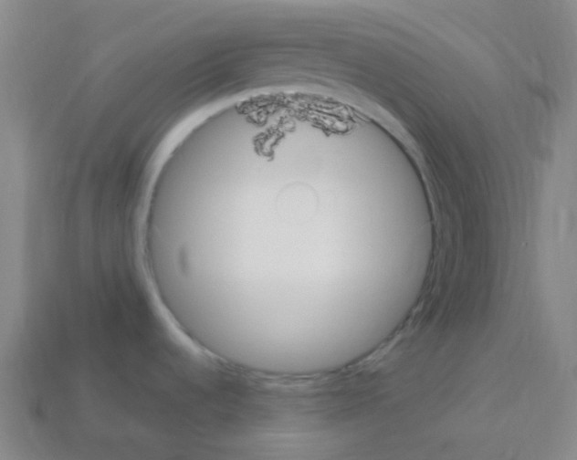 X0000113111536200910091149