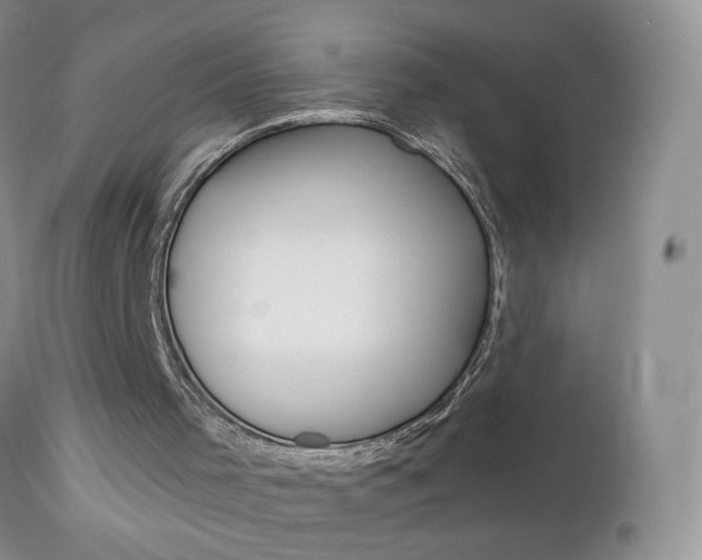 X0000113120001200908281053