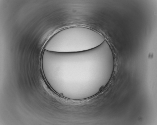 X0000113120002200908281053