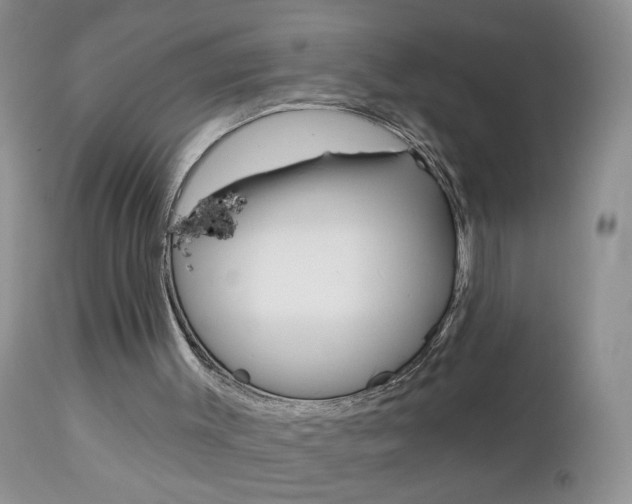 X0000113120003200908281053