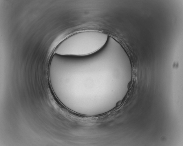 X0000113120004200908281053