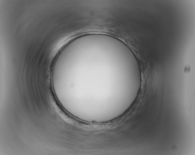 X0000113120005200908281053