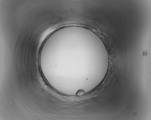 X0000113120006200908281053