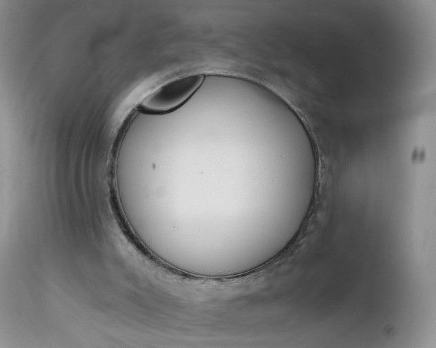 X0000113120007200908281053