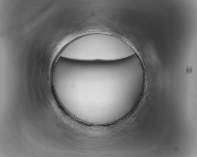 X0000113120008200908281053