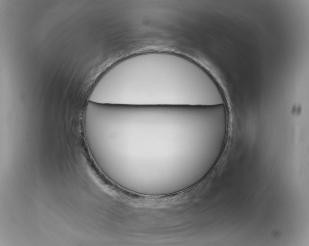 X0000113120009200908281053
