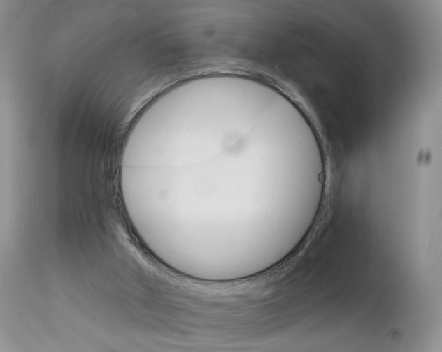 X0000113120010200908281053