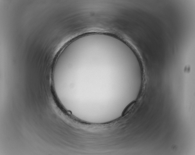 X0000113120011200908281053