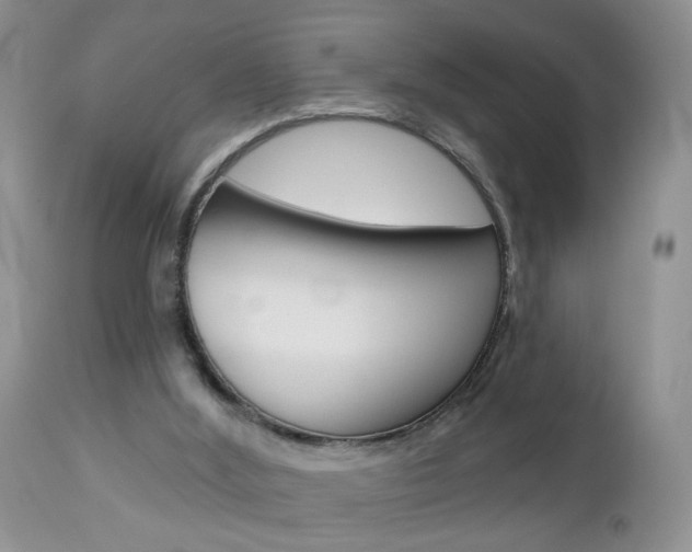 X0000113120012200908281053