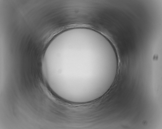 X0000113120013200908281053