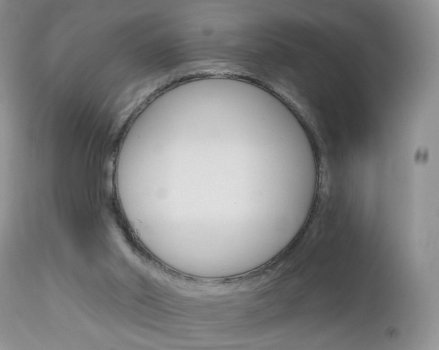 X0000113120014200908281053