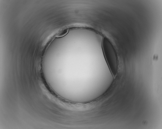 X0000113120015200908281053