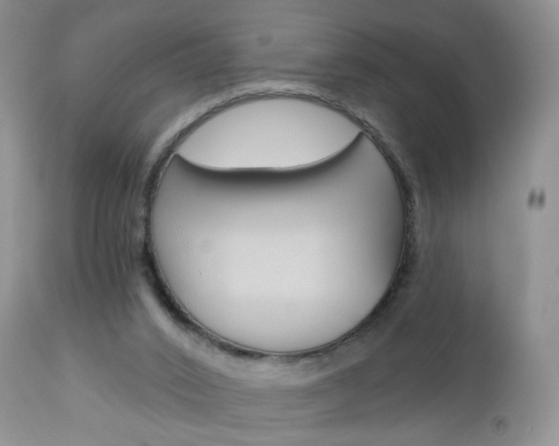 X0000113120016200908281053